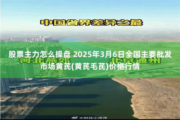 股票主力怎么操盘 2025年3月6日全国主要批发市场黄芪(黄芪毛芪)价格行情