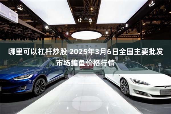 哪里可以杠杆炒股 2025年3月6日全国主要批发市场鳊鱼价格行情