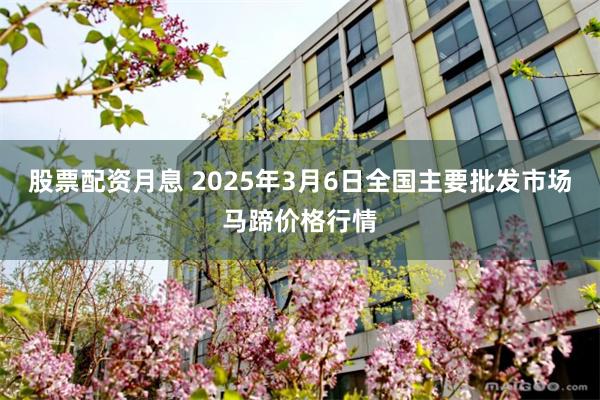 股票配资月息 2025年3月6日全国主要批发市场马蹄价格行情