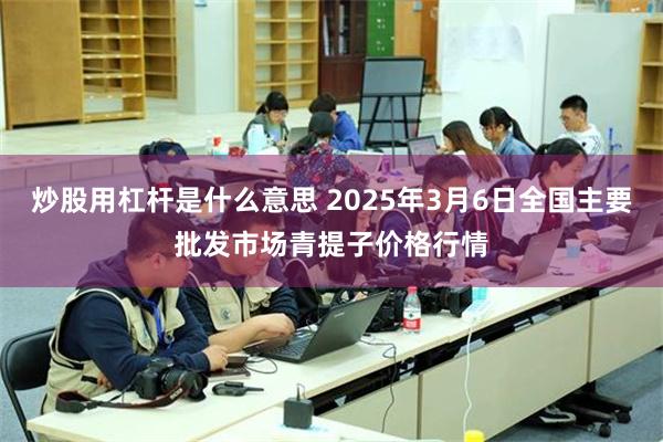炒股用杠杆是什么意思 2025年3月6日全国主要批发市场青提子价格行情