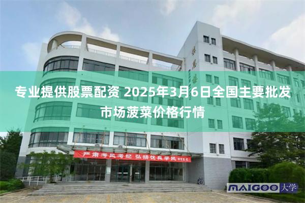 专业提供股票配资 2025年3月6日全国主要批发市场菠菜价格行情