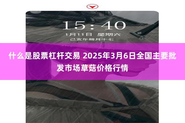 什么是股票杠杆交易 2025年3月6日全国主要批发市场草菇价格行情