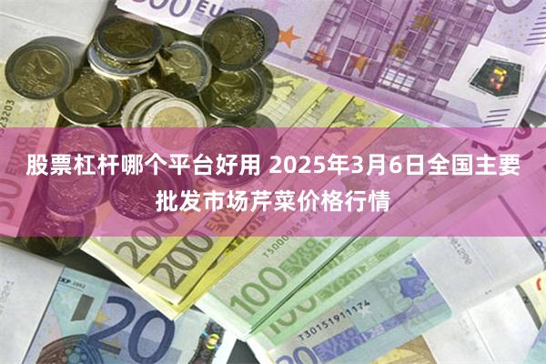 股票杠杆哪个平台好用 2025年3月6日全国主要批发市场芹菜价格行情