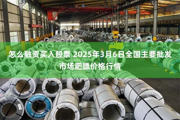 怎么融资买入股票 2025年3月6日全国主要批发市场肥膘价格行情