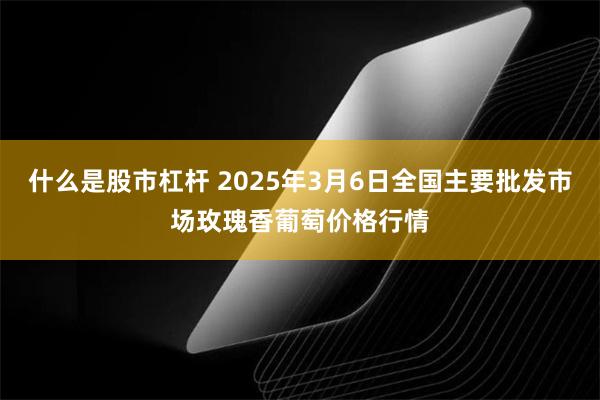 什么是股市杠杆 2025年3月6日全国主要批发市场玫瑰香葡萄价格行情