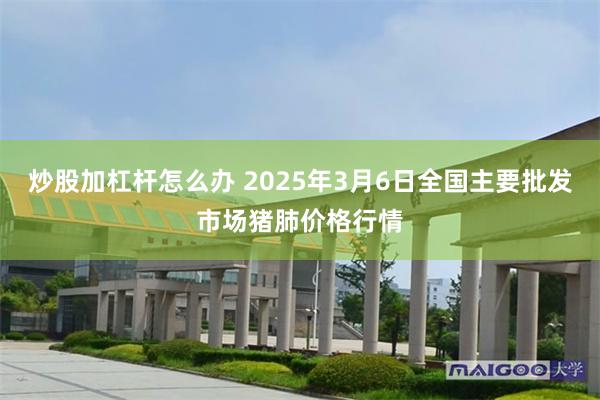 炒股加杠杆怎么办 2025年3月6日全国主要批发市场猪肺价格行情