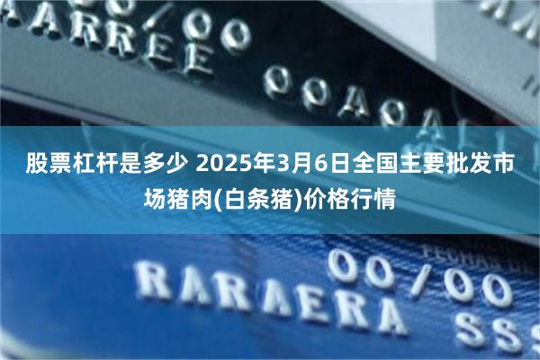 股票杠杆是多少 2025年3月6日全国主要批发市场猪肉(白条猪)价格行情