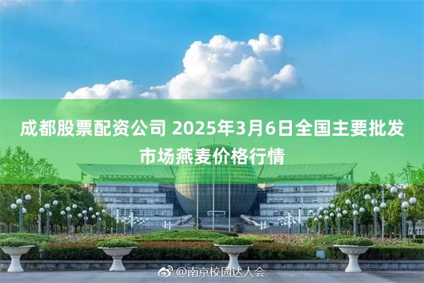 成都股票配资公司 2025年3月6日全国主要批发市场燕麦价格行情