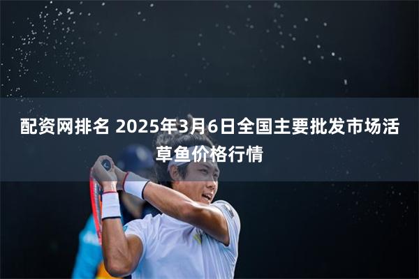 配资网排名 2025年3月6日全国主要批发市场活草鱼价格行情