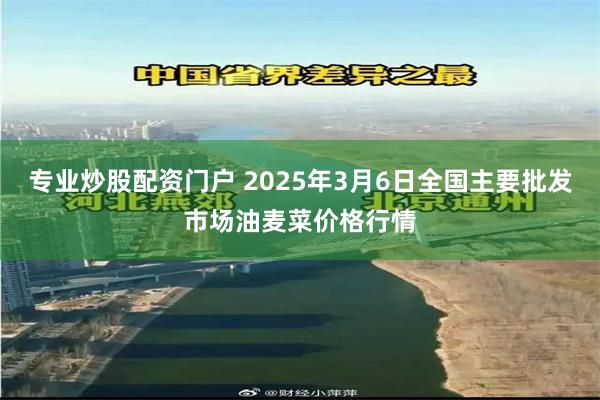专业炒股配资门户 2025年3月6日全国主要批发市场油麦菜价格行情