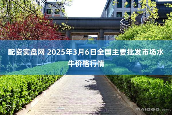配资实盘网 2025年3月6日全国主要批发市场水牛价格行情
