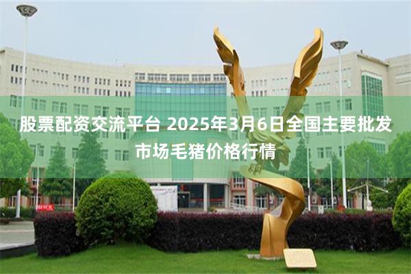 股票配资交流平台 2025年3月6日全国主要批发市场毛猪价格行情