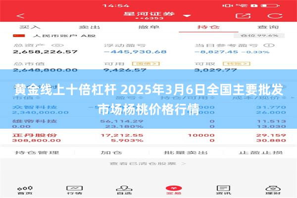 黄金线上十倍杠杆 2025年3月6日全国主要批发市场杨桃价格行情