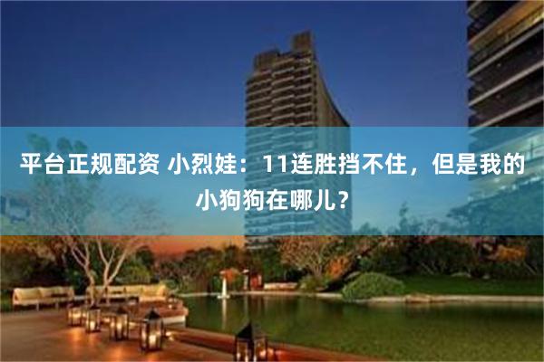 平台正规配资 小烈娃：11连胜挡不住，但是我的小狗狗在哪儿？