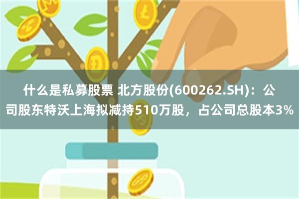 什么是私募股票 北方股份(600262.SH)：公司股东特沃上海拟减持510万股，占公司总股本3%