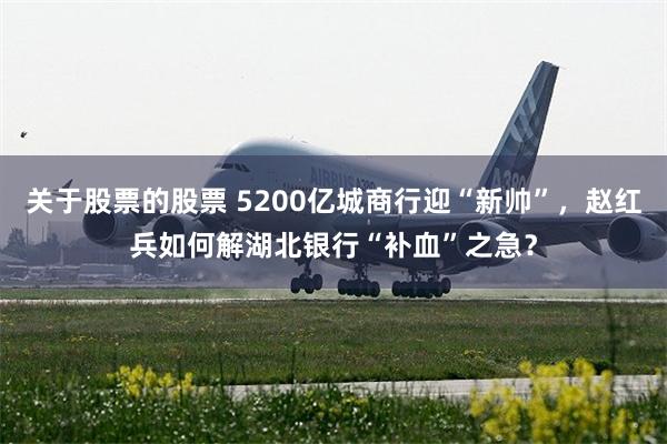 关于股票的股票 5200亿城商行迎“新帅”，赵红兵如何解湖北银行“补血”之急？