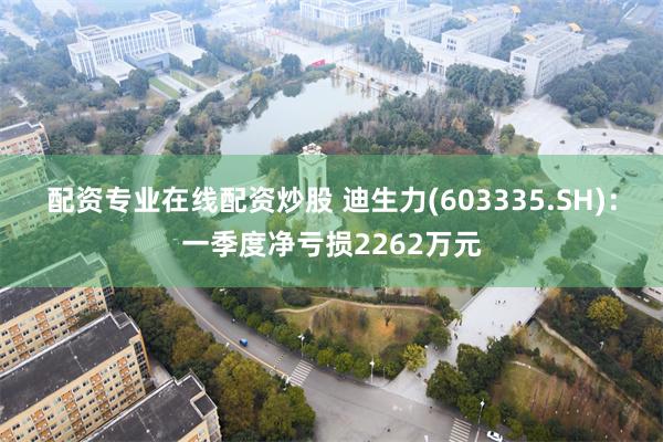 配资专业在线配资炒股 迪生力(603335.SH)：一季度净亏损2262万元