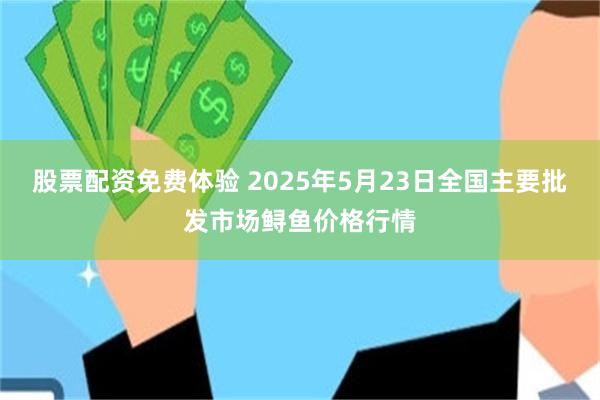 股票配资免费体验 2025年5月23日全国主要批发市场鲟鱼价格行情