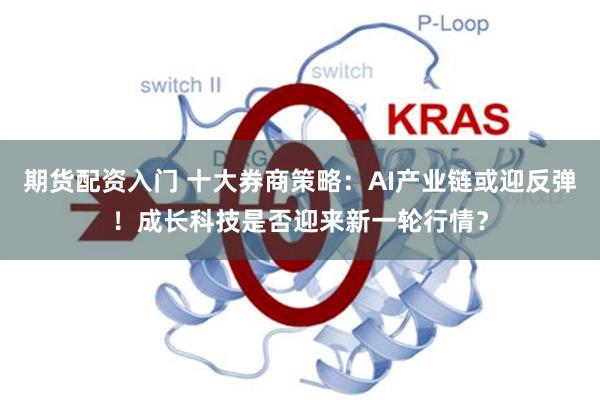 期货配资入门 十大券商策略：AI产业链或迎反弹！成长科技是否迎来新一轮行情？