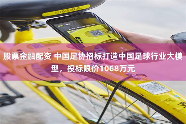 股票金融配资 中国足协招标打造中国足球行业大模型，投标限价1068万元