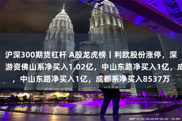 沪深300期货杠杆 A股龙虎榜丨利欧股份涨停，深股通净买入6495万，游资佛山系净买入1.02亿，中山东路净买入1亿，成都系净买入8537万