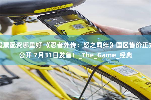 股票配资哪里好 《忍者外传：怒之羁绊》国区售价正式公开 7月31日发售！_The_Game_经典