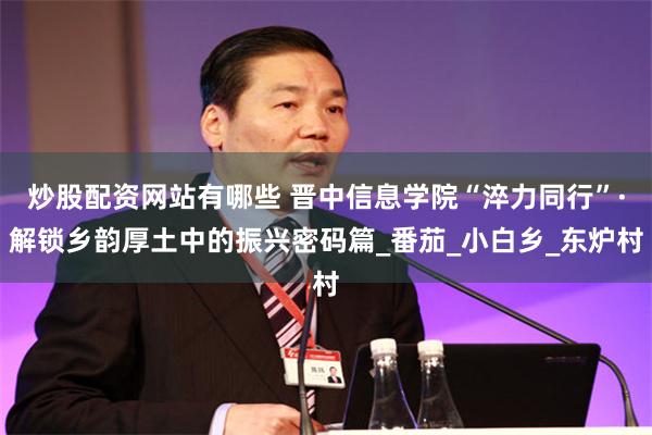 炒股配资网站有哪些 晋中信息学院“淬力同行”·解锁乡韵厚土中的振兴密码篇_番茄_小白乡_东炉村