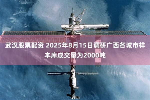 武汉股票配资 2025年8月15日调研广西各城市样本库成交量为2000吨