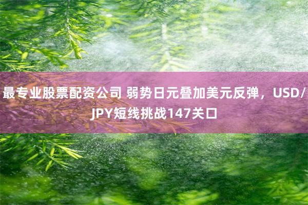 最专业股票配资公司 弱势日元叠加美元反弹，USD/JPY短线挑战147关口