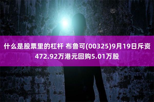 什么是股票里的杠杆 布鲁可(00325)9月19日斥资472.92万港元回购5.01万股