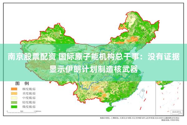 南京股票配资 国际原子能机构总干事：没有证据显示伊朗计划制造核武器