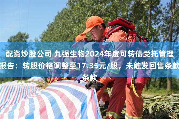 配资炒股公司 九强生物2024年度可转债受托管理报告：转股价格调整至17.35元/股，未触发回售条款