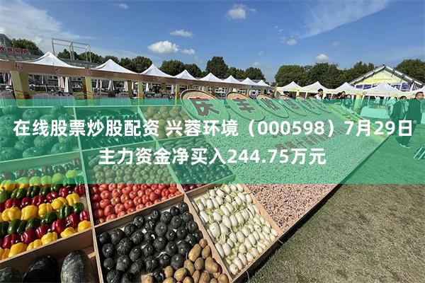在线股票炒股配资 兴蓉环境(000598)7月29日主力资金净买入244.75万元