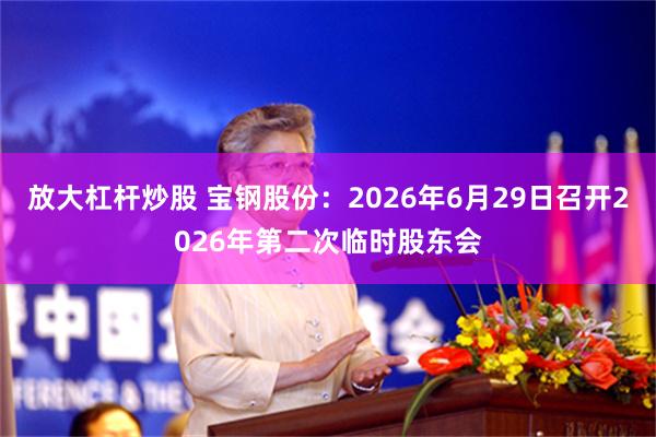 放大杠杆炒股 宝钢股份：2026年6月29日召开2026年第二次临时股东会