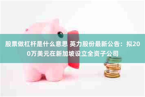 股票做杠杆是什么意思 英力股份最新公告：拟200万美元在新加坡设立全资子公司