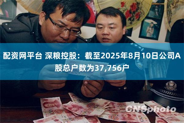 配资网平台 深粮控股：截至2025年8月10日公司A股总户数为37,756户
