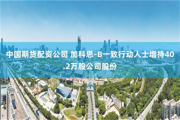 中国期货配资公司 加科思-B一致行动人士增持40.2万股公司股份