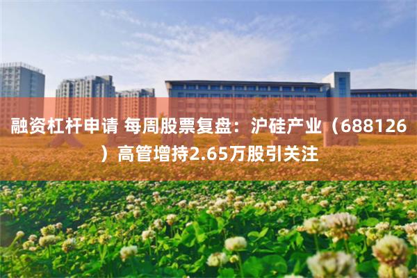 融资杠杆申请 每周股票复盘：沪硅产业（688126）高管增持2.65万股引关注