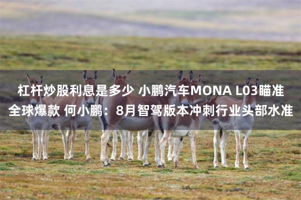 杠杆炒股利息是多少 小鹏汽车MONA L03瞄准全球爆款 何小鹏：8月智驾版本冲刺行业头部水准