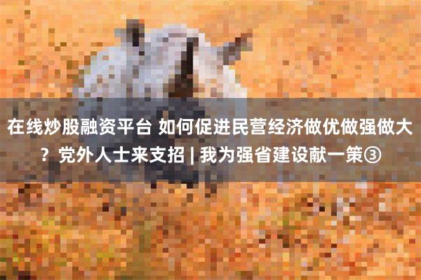 在线炒股融资平台 如何促进民营经济做优做强做大？党外人士来支招 | 我为强省建设献一策③