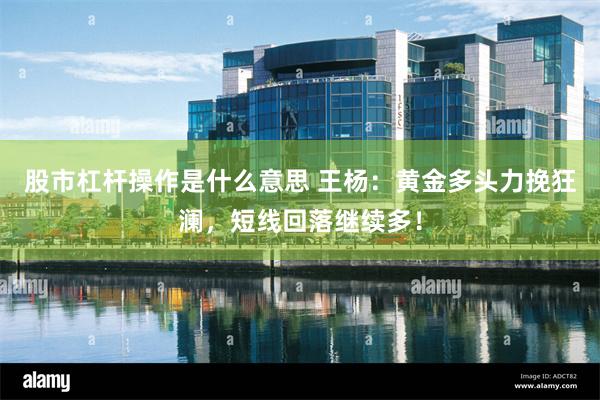 股市杠杆操作是什么意思 王杨：黄金多头力挽狂澜，短线回落继续多！