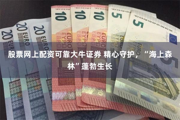 股票网上配资可靠大牛证券 精心守护，“海上森林”蓬勃生长