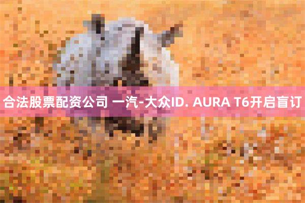 合法股票配资公司 一汽-大众ID. AURA T6开启盲订