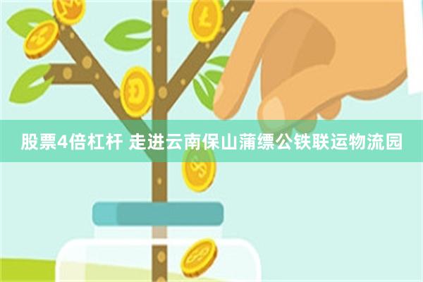 股票4倍杠杆 走进云南保山蒲缥公铁联运物流园