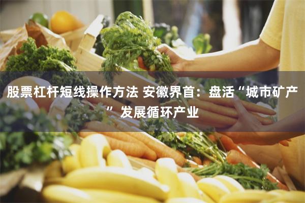 股票杠杆短线操作方法 安徽界首：盘活“城市矿产” 发展循环产业