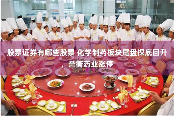 股票证券有哪些股票 化学制药板块尾盘探底回升，誉衡药业涨停