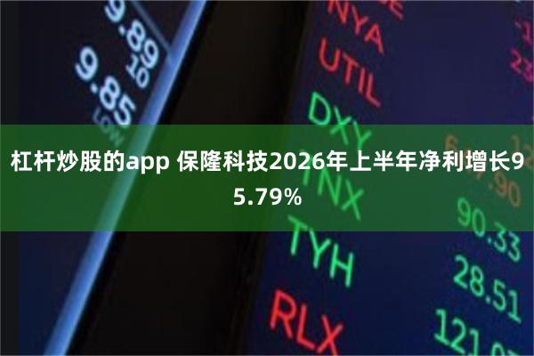 杠杆炒股的app 保隆科技2026年上半年净利增长95.79%