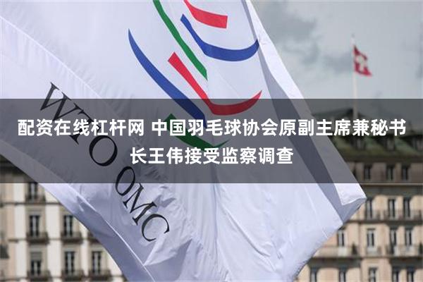 配资在线杠杆网 中国羽毛球协会原副主席兼秘书长王伟接受监察调查