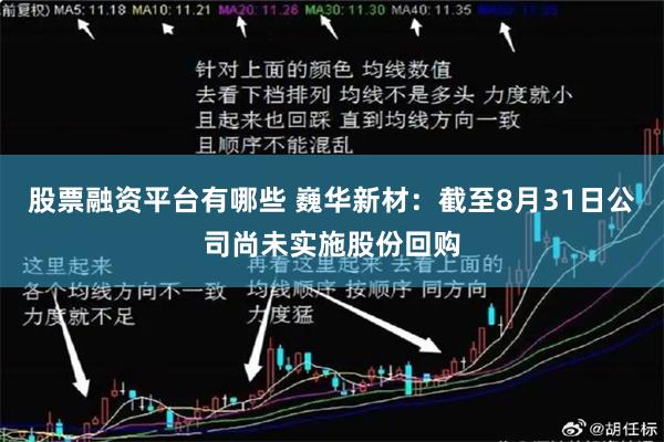 股票融资平台有哪些 巍华新材：截至8月31日公司尚未实施股份回购