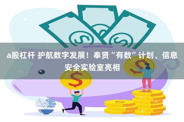 a股杠杆 护航数字发展!奉贤“有数”计划、信息安全实验室亮相